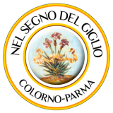 logo_.png